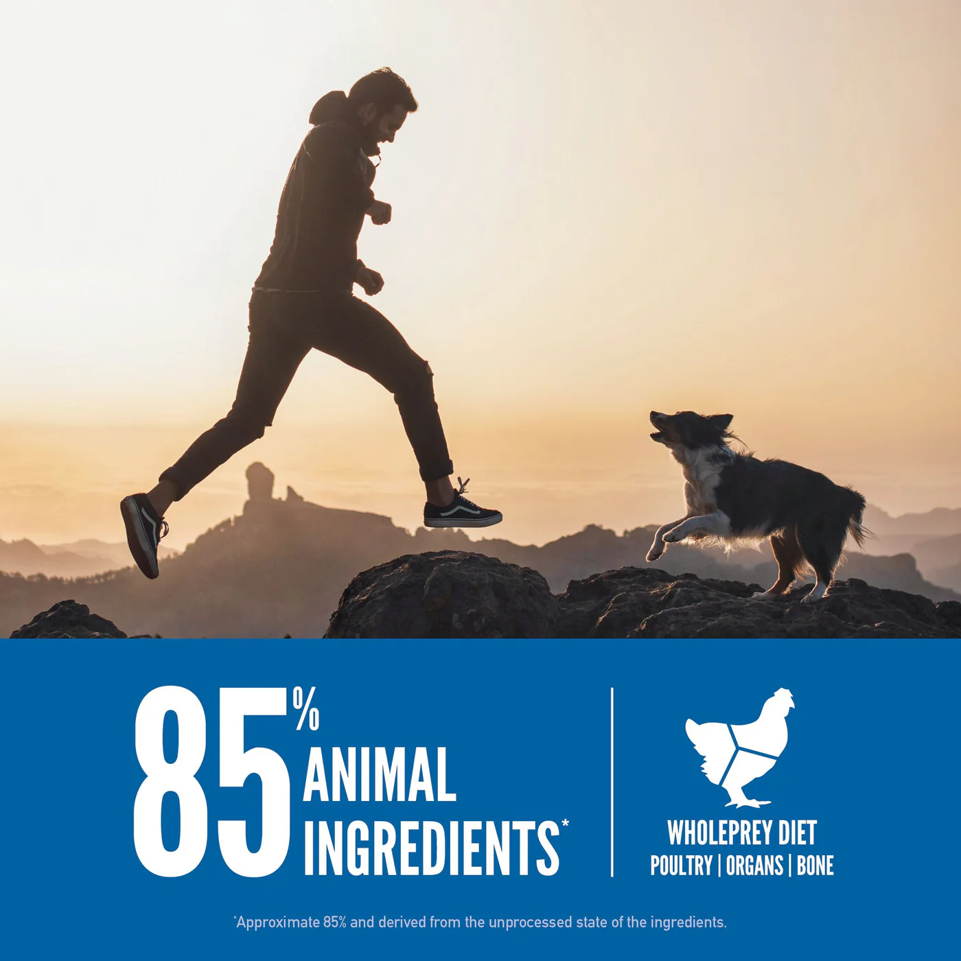 ORIJEN Original Biologically Appropriate Dry Dog Food 10.6kg - Image 4