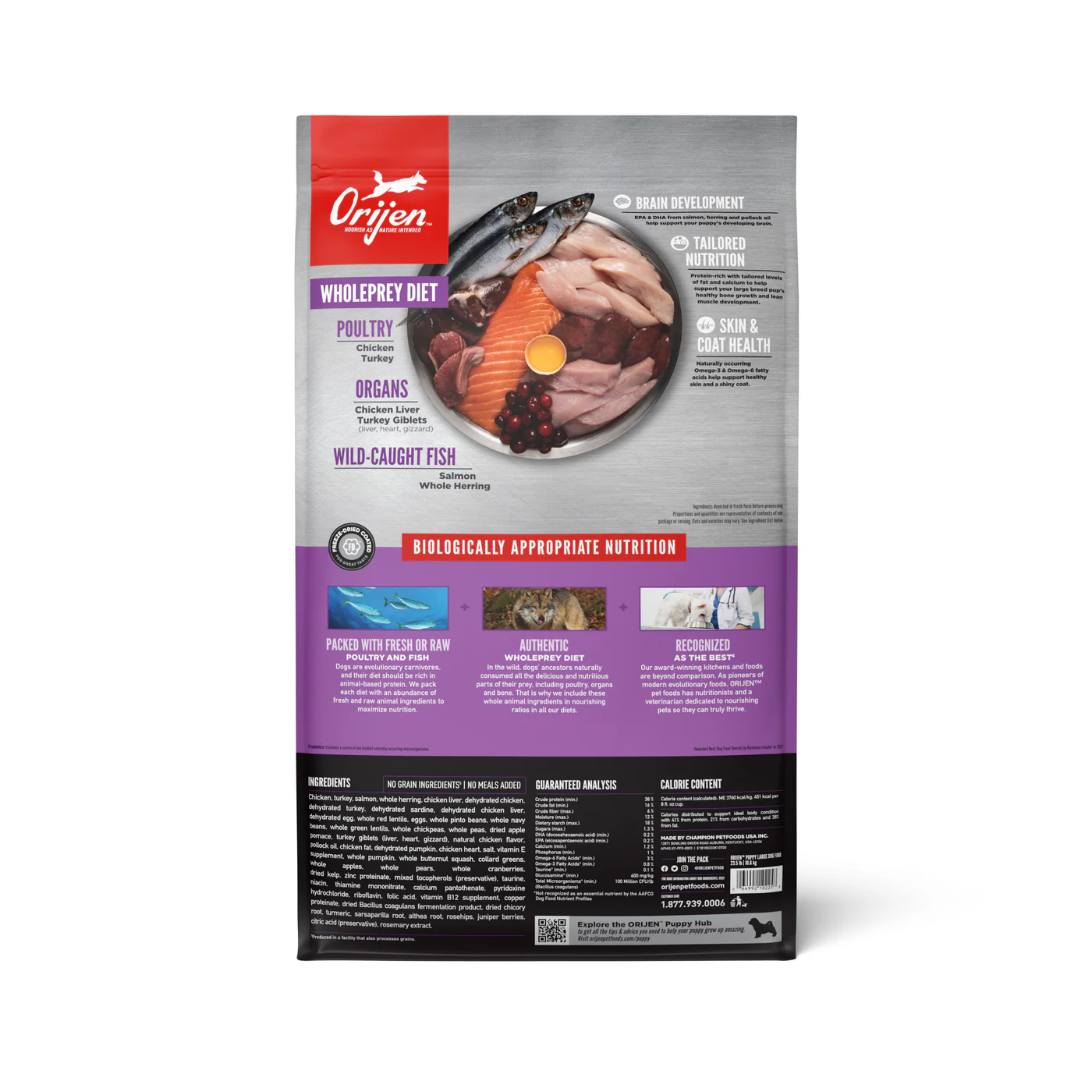 ORIJEN Puppy Large Breed Biologically Appropriate Dry Dog Food 10.6kg - Image 7