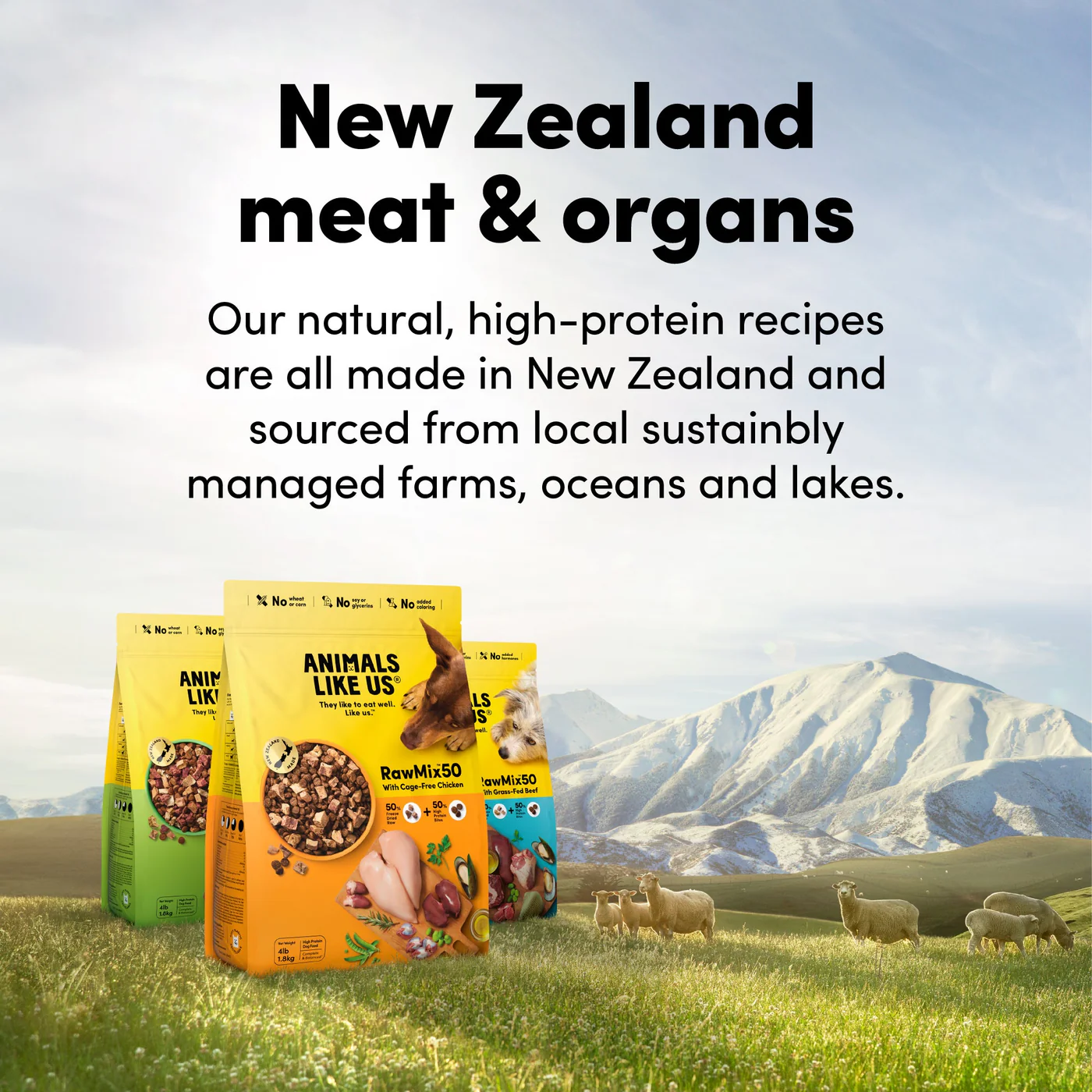 Animals Like Us RawMix50 with Grass-Fed Freeze Dried Beef and Kibble Mix Dog Food 3.6kg - Image 2