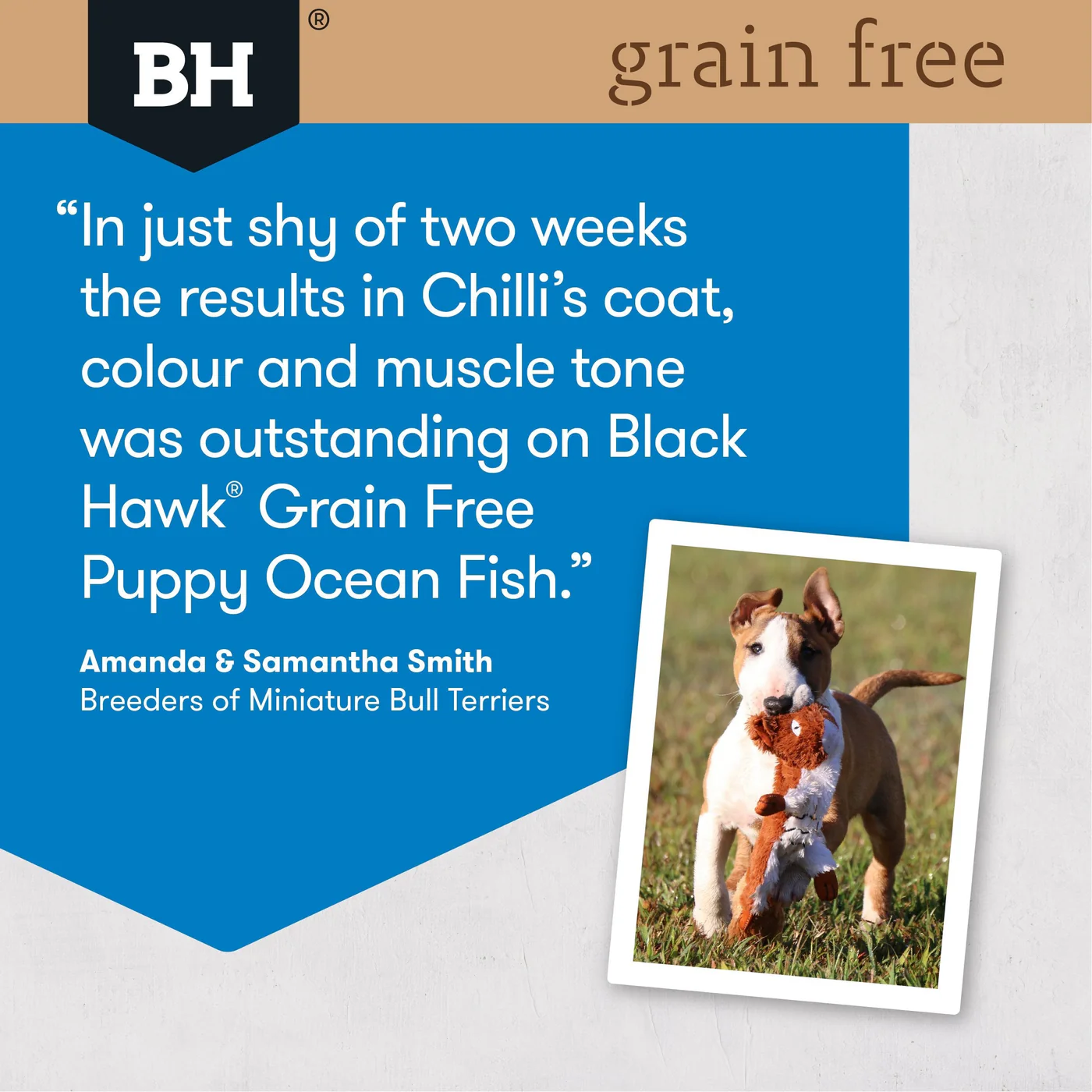 Black Hawk Grain Free Ocean Fish Puppy Dry Dog Food 15kg - Image 6