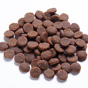 Blackdog Ocean Fish Salmon Rice and Vegetables Adult Dry Dog Food 2.5kg - Image 2