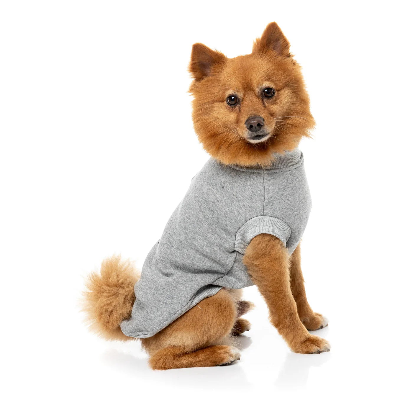 FuzzYard Dog Apparel All day Sweater Grey Size 3 - Image 3
