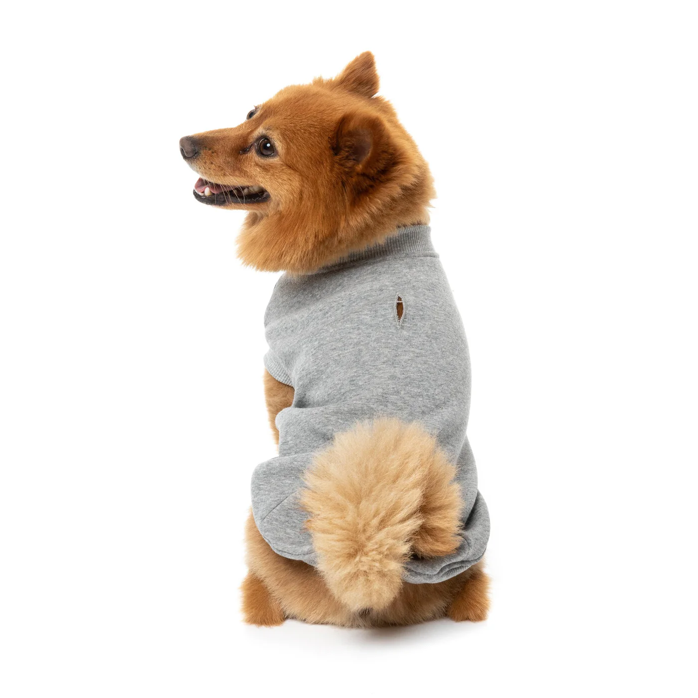 FuzzYard Dog Apparel All day Sweater Grey Size 3 - Image 4