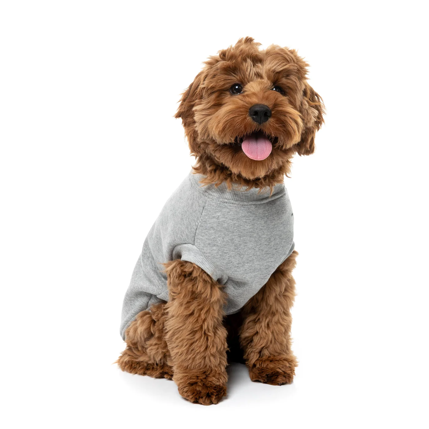 FuzzYard Dog Apparel All day Sweater Grey Size 3 - Image 5