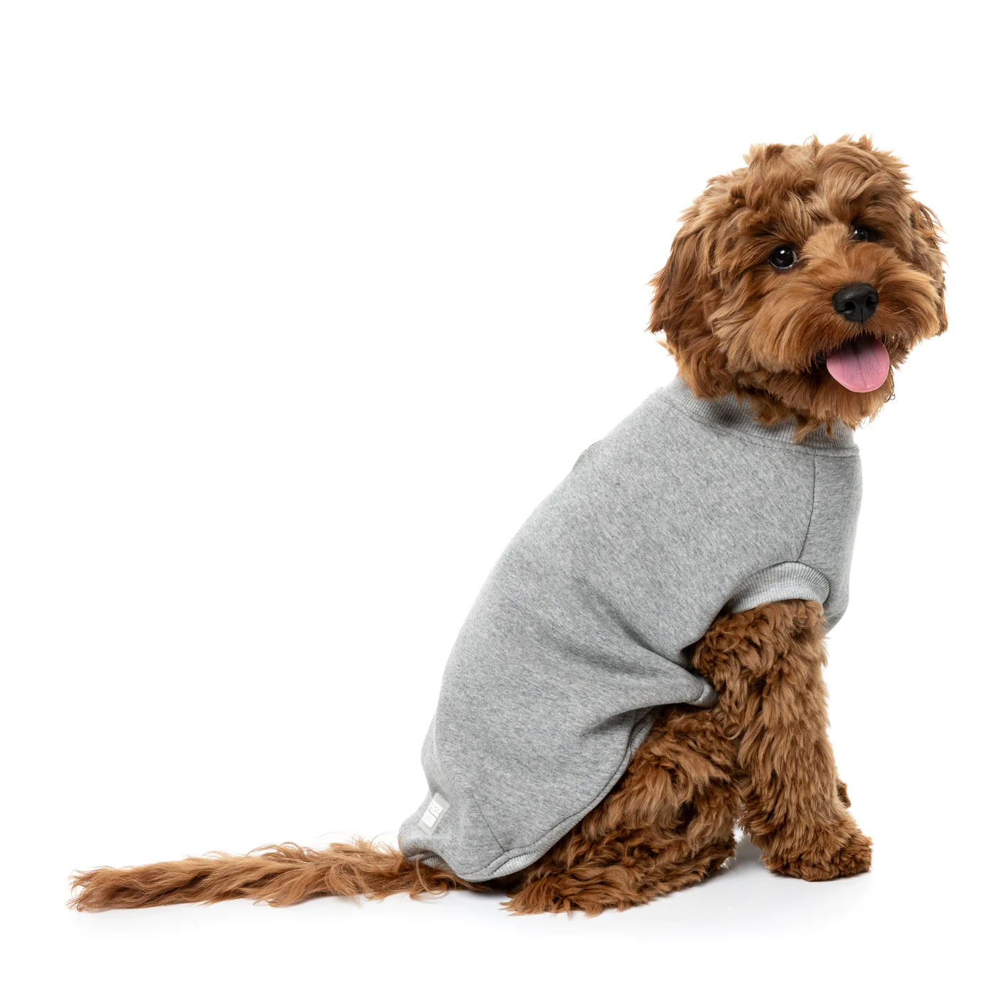 FuzzYard Dog Apparel All day Sweater Grey Size 3 - Image 6