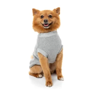 FuzzYard Dog Apparel All day Sweater Grey Size 3