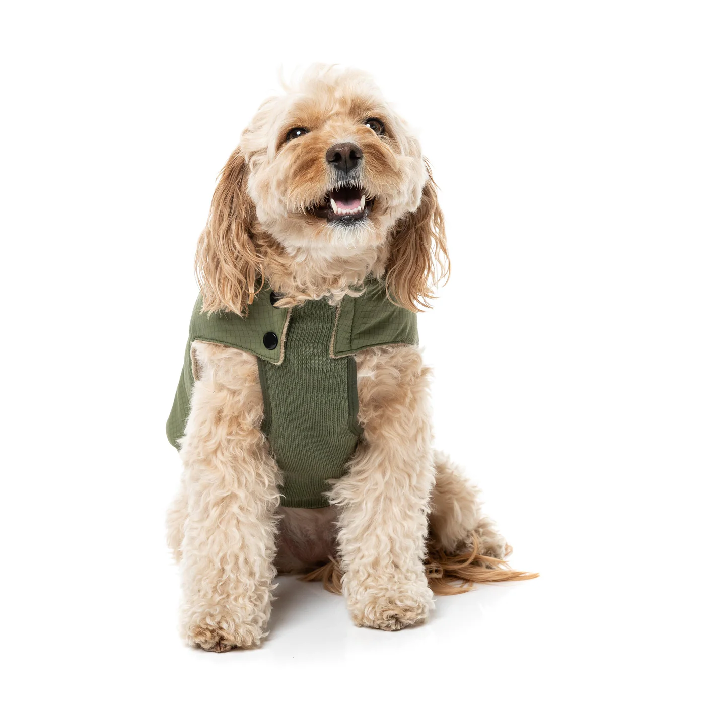 FuzzYard Dog Apparel Bomber Jacket Khaki Green Size 5 - Image 3