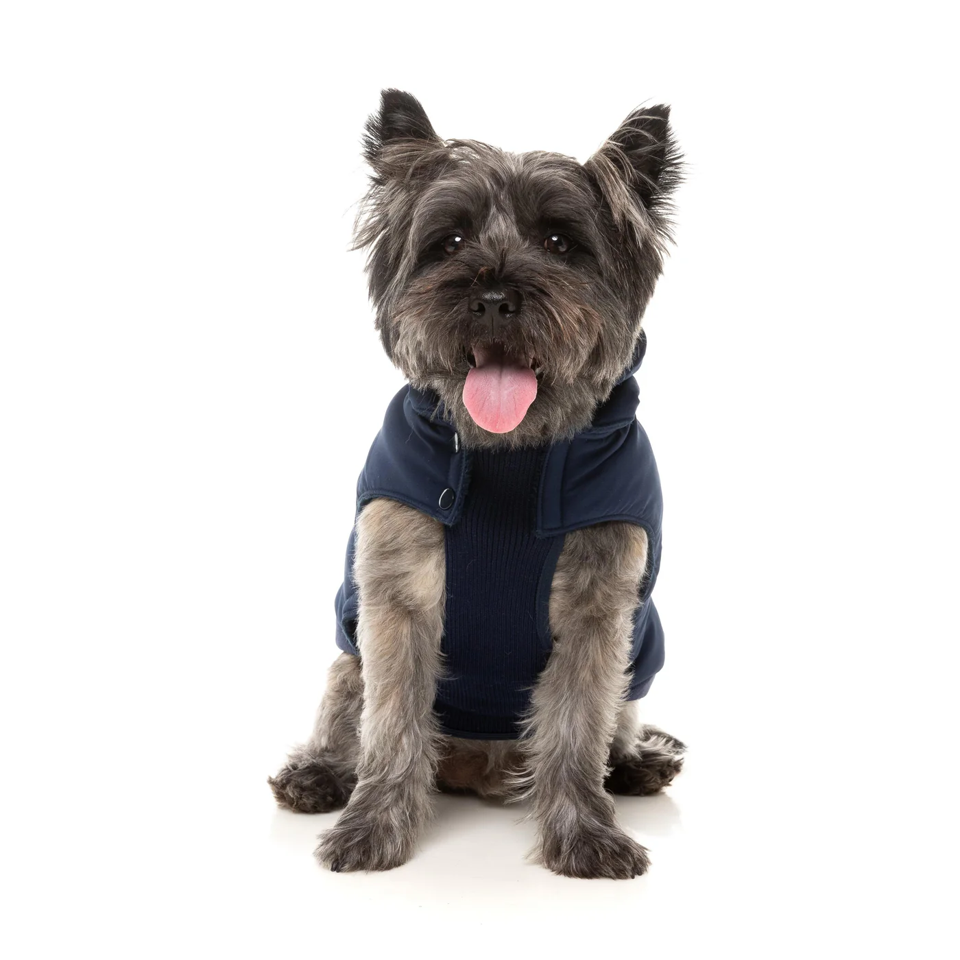 FuzzYard Dog Apparel Essential Padded Hooded Jacket Navy Size 2 - Image 5