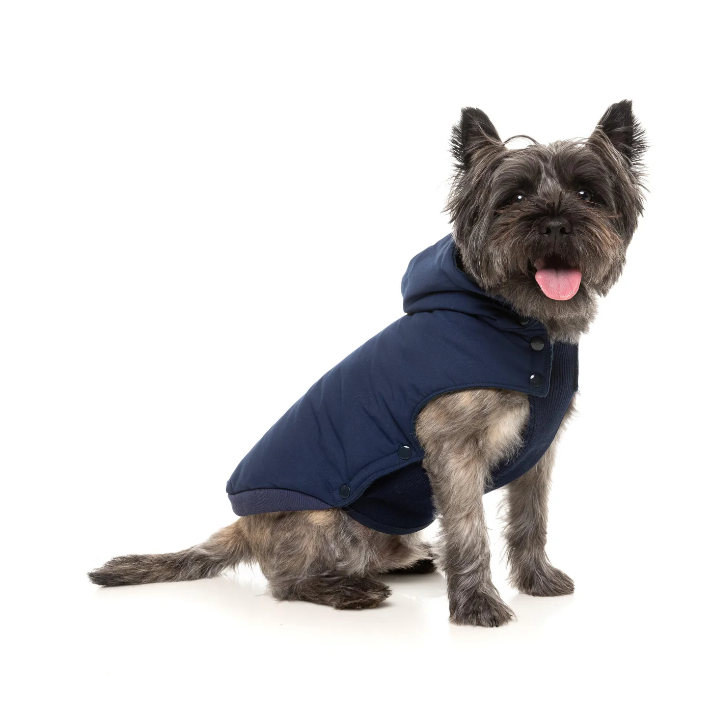 FuzzYard Dog Apparel Essential Padded Hooded Jacket Navy Size 2 - Image 7