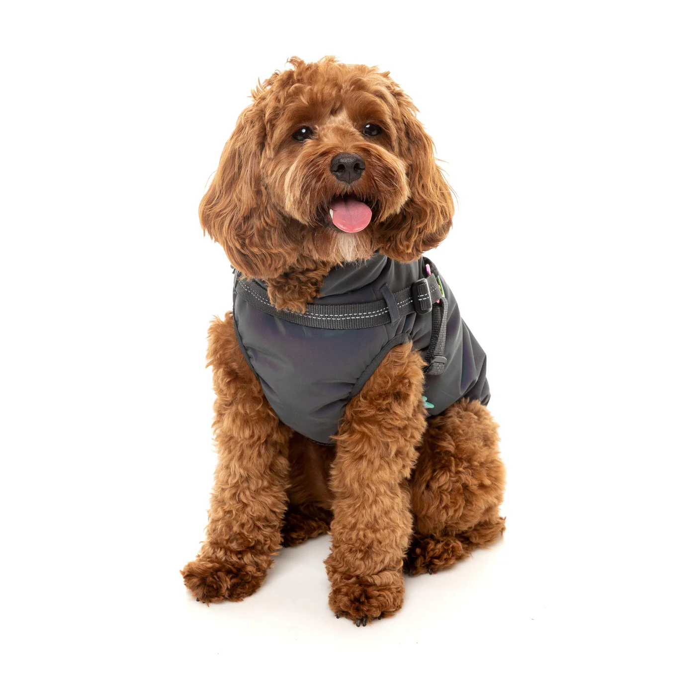 FuzzYard Dog Apparel Harness Jacket Reflective Flash Size 2 - Image 5