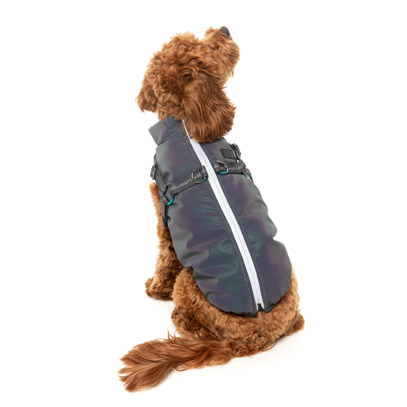 FuzzYard Dog Apparel Harness Jacket Reflective Flash Size 2 - Image 6