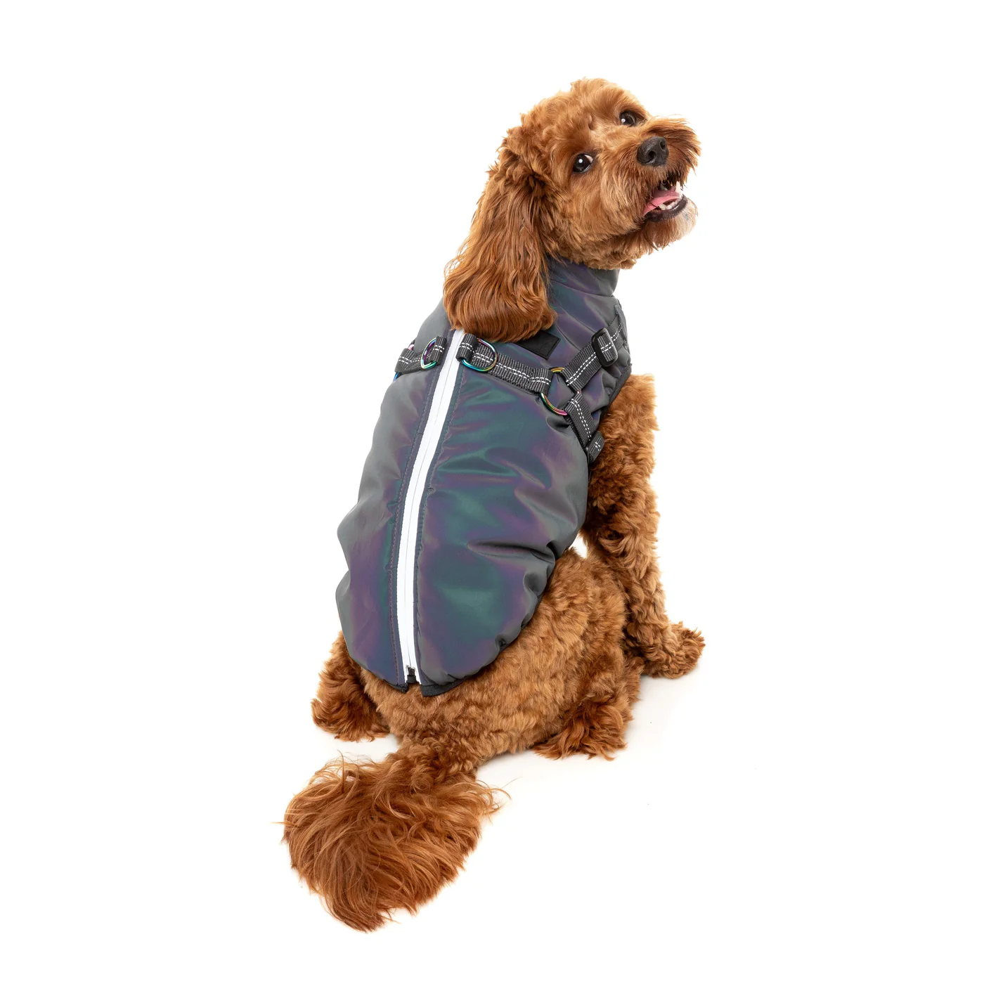 FuzzYard Dog Apparel Harness Jacket Reflective Flash Size 2 - Image 8