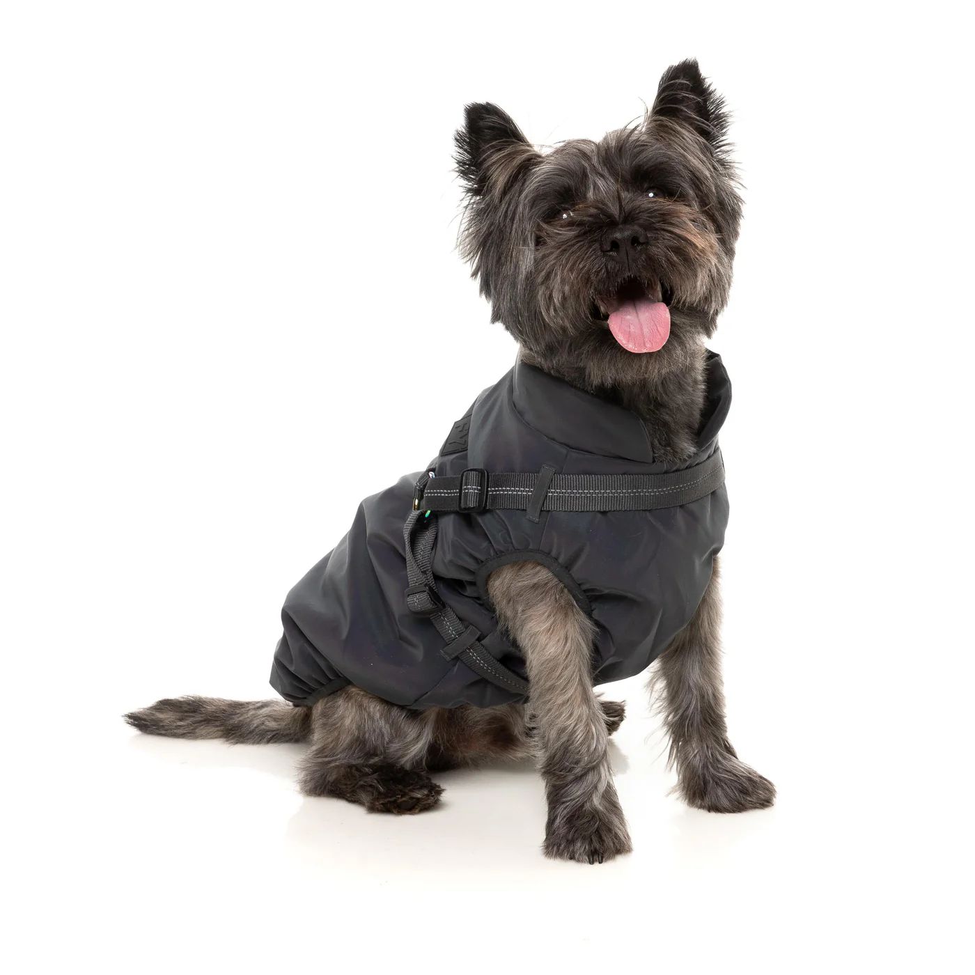 FuzzYard Dog Apparel Harness Jacket Reflective Flash Size 5 - Image 3