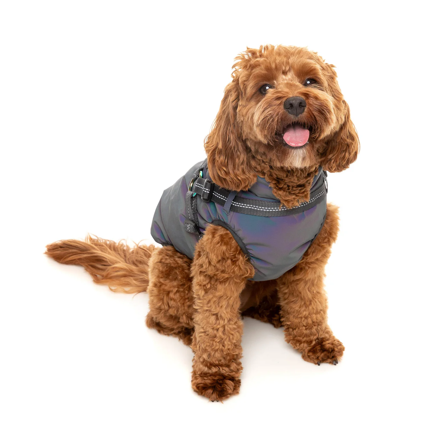 FuzzYard Dog Apparel Harness Jacket Reflective Flash Size 5 - Image 6