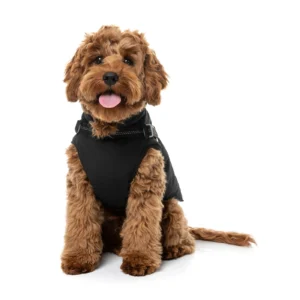 FuzzYard Dog Apparel Horizon Harness Jacket Size 2