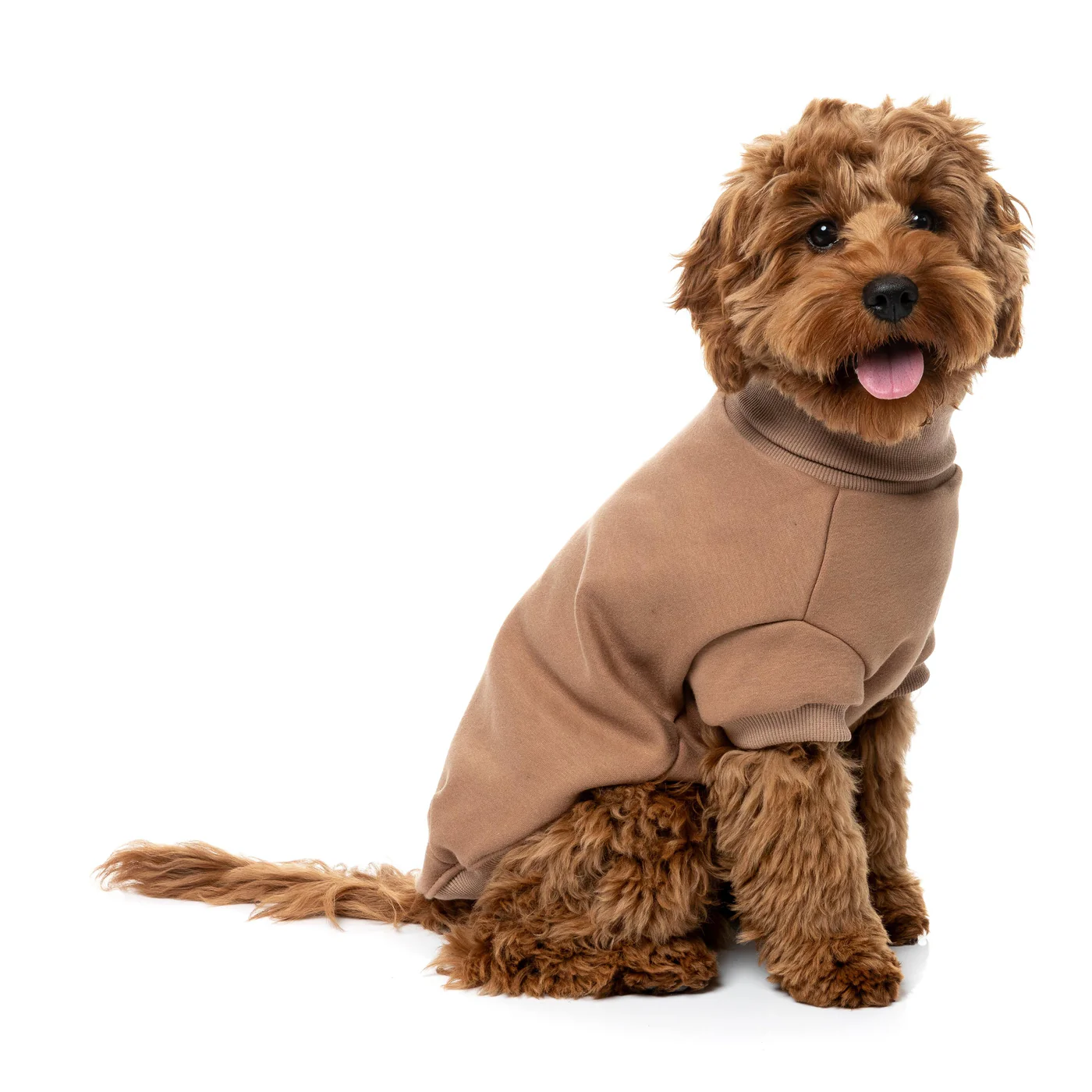 FuzzYard Dog Apparel Stevie Sweater Latte Size 2 - Image 5