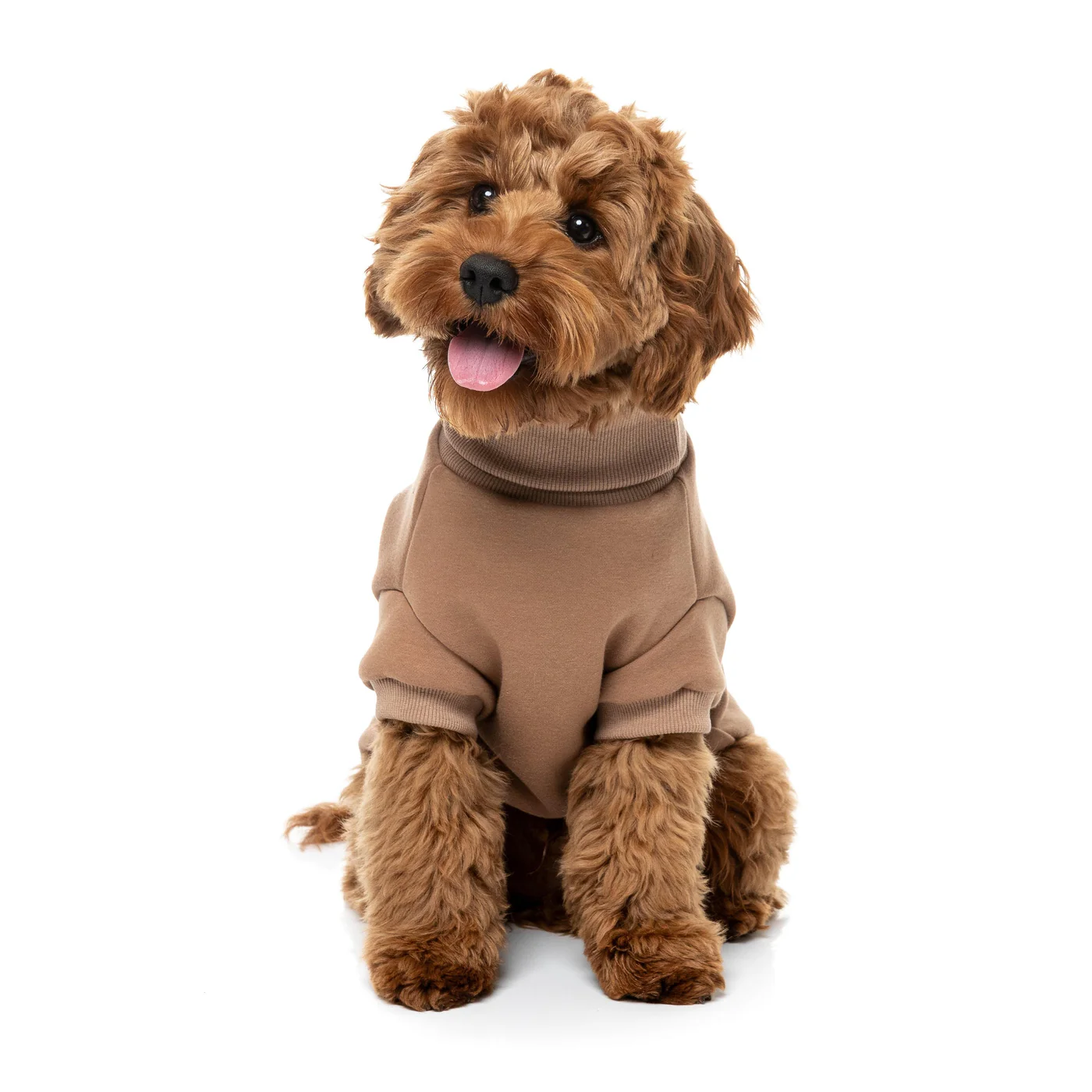 FuzzYard Dog Apparel Stevie Sweater Latte Size 2 - Image 4
