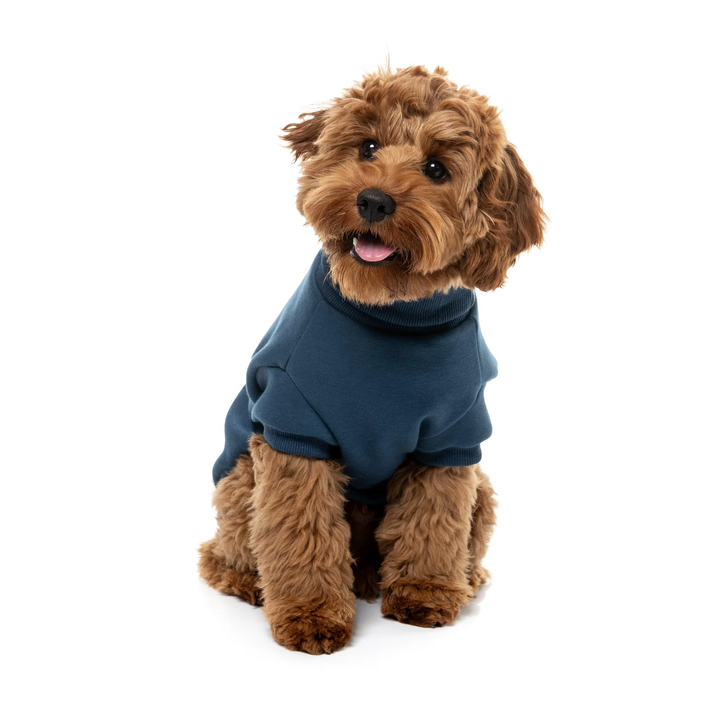FuzzYard Dog Apparel Stevie Sweater Navy Size 1 - Image 4