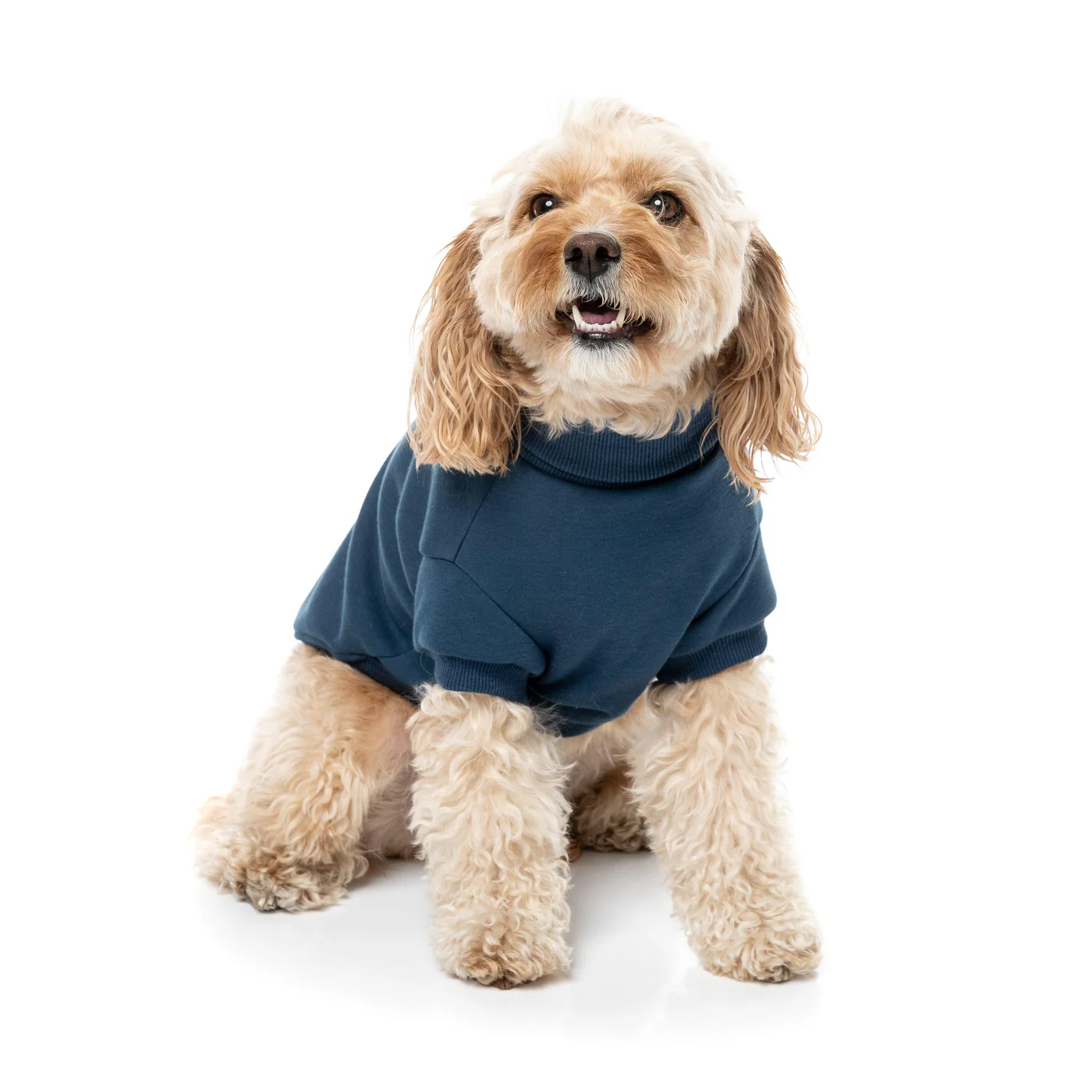 FuzzYard Dog Apparel Stevie Sweater Navy Size 1 - Image 5