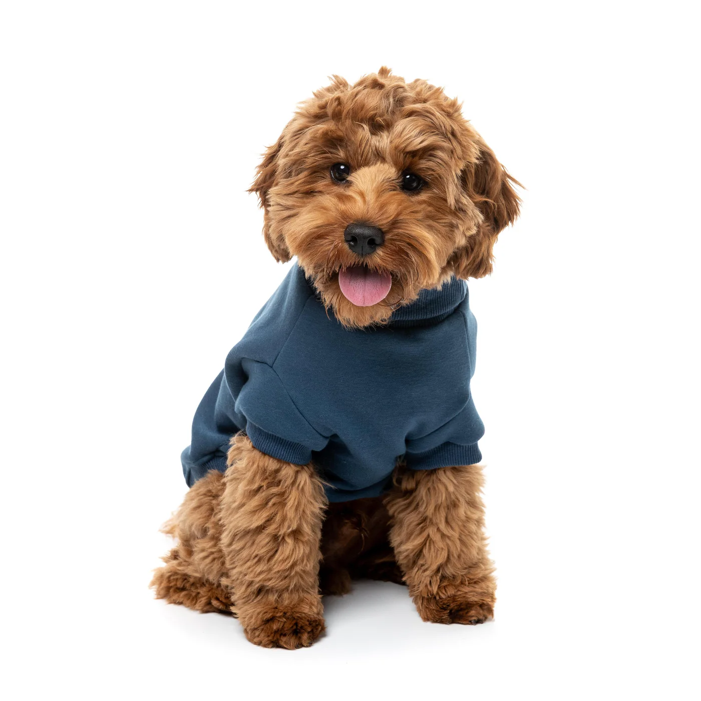 FuzzYard Dog Apparel Stevie Sweater Navy Size 1