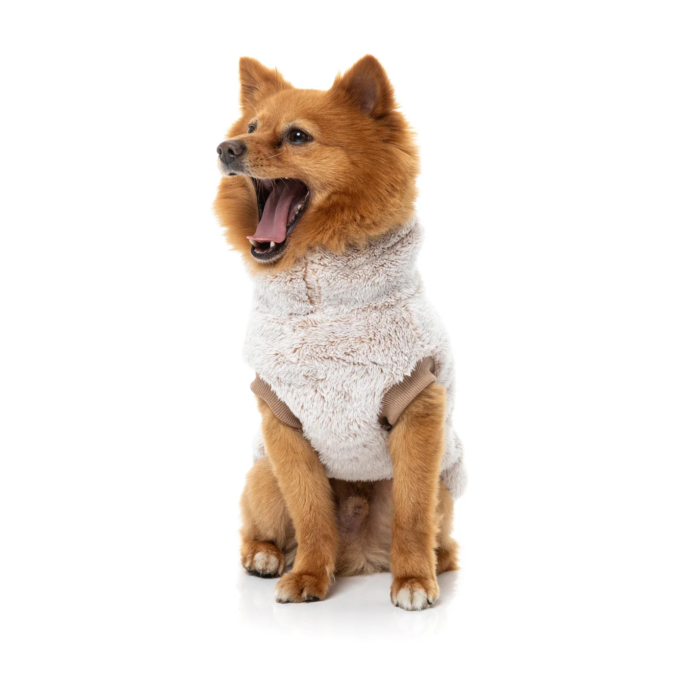 FuzzYard Dog Apparel Turtle Teddy 26 Sweater Frosted Latte Size 3 - Image 5