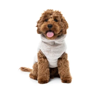 FuzzYard Dog Apparel Turtle Teddy 26 Sweater Frosted Latte Size 3