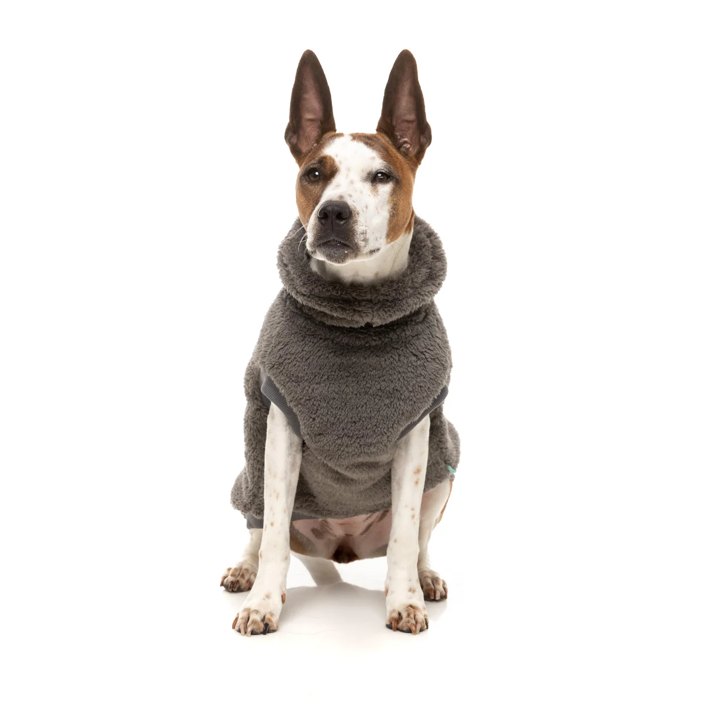 FuzzYard Dog Apparel Turtle Teddy 26 Sweater Gunmetal Grey Size 3 - Image 4