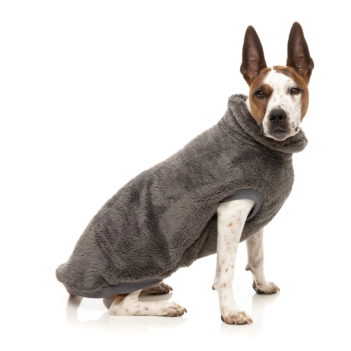 FuzzYard Dog Apparel Turtle Teddy 26 Sweater Gunmetal Grey Size 3 - Image 5