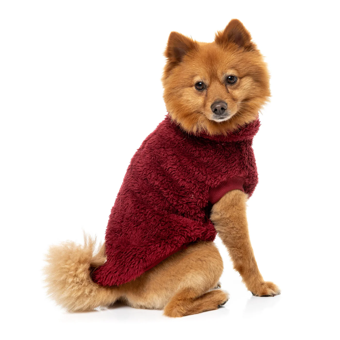 FuzzYard Dog Apparel Turtle Teddy 26 Sweater Maroon Size 5 - Image 3