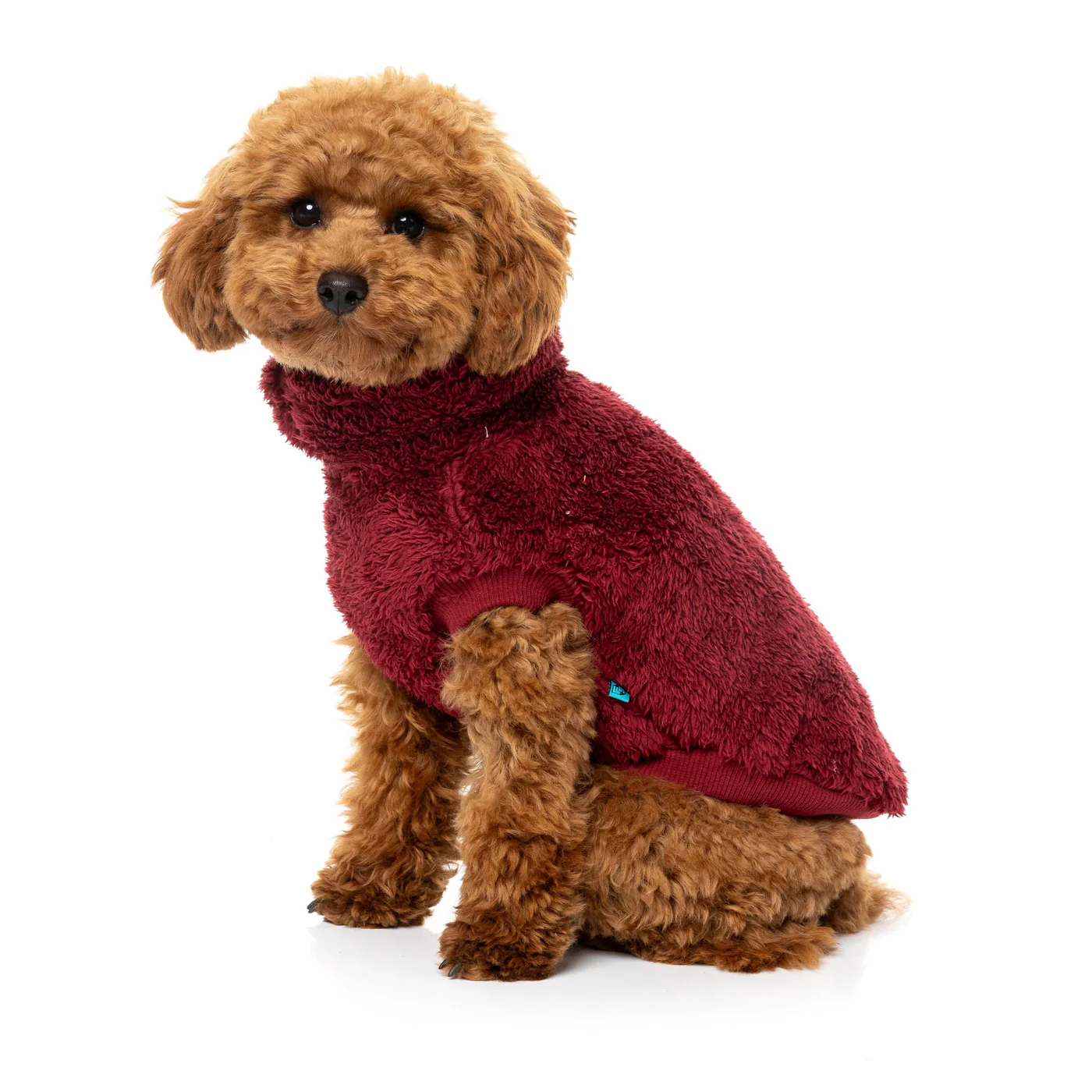 FuzzYard Dog Apparel Turtle Teddy 26 Sweater Maroon Size 5 - Image 5