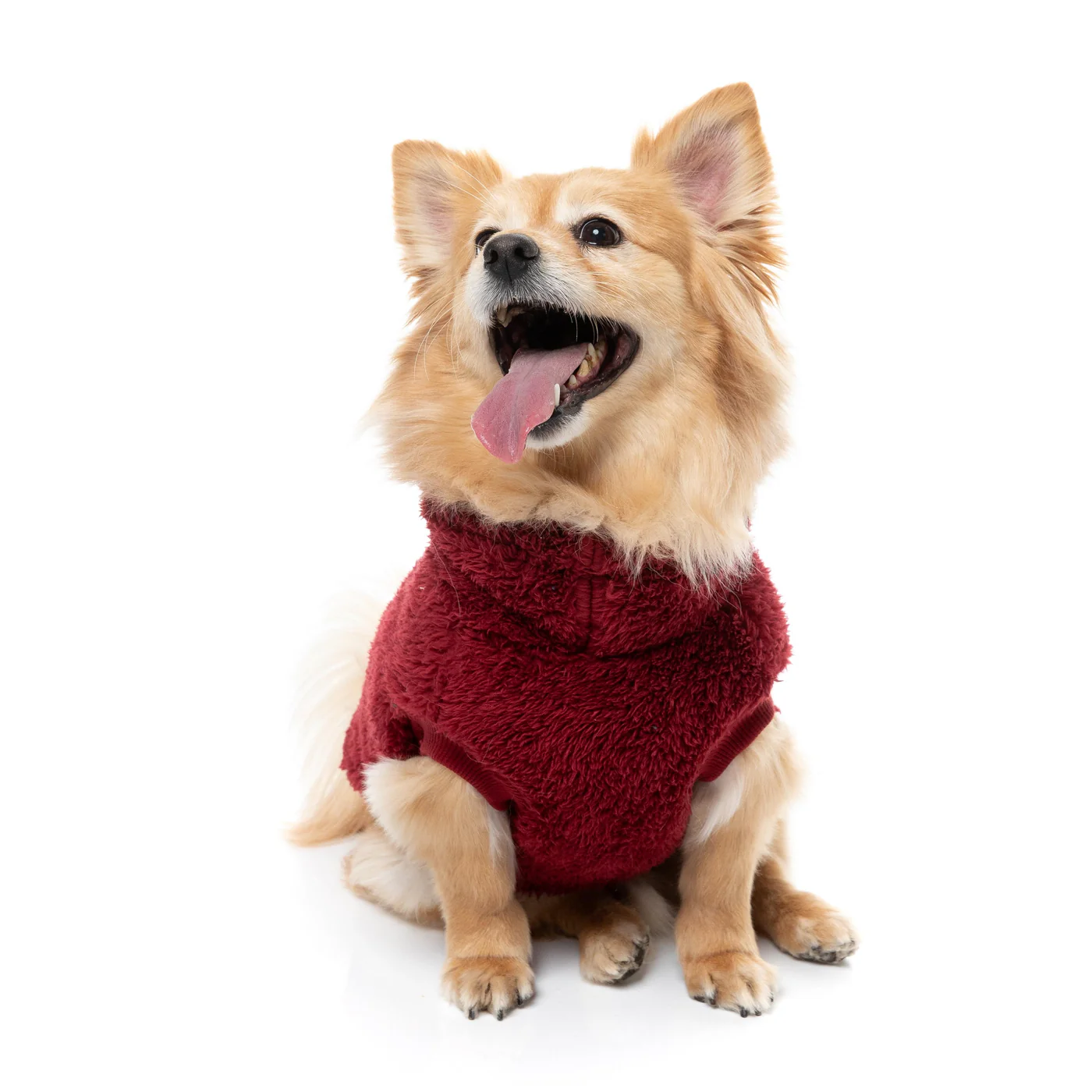 FuzzYard Dog Apparel Turtle Teddy 26 Sweater Maroon Size 7 - Image 7