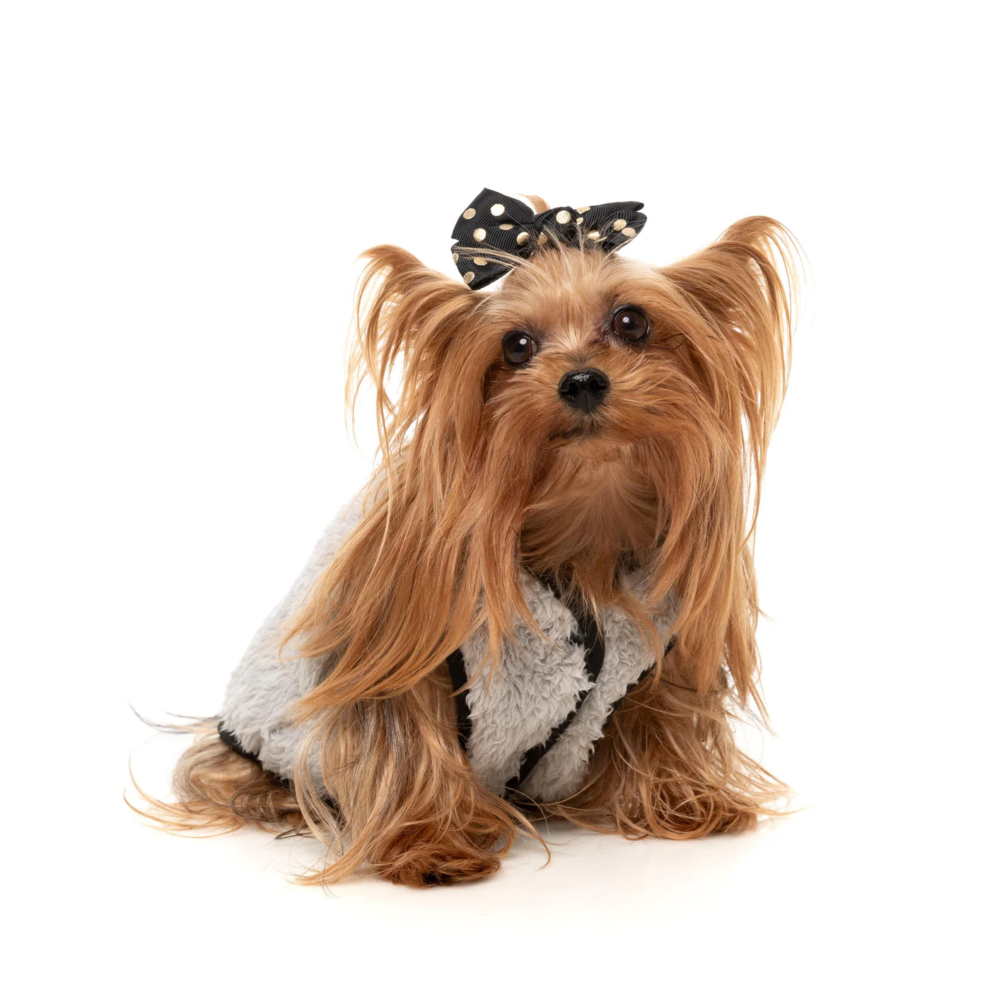 FuzzYard Dog Apparel Umeda Jacket Black Size 2 - Image 5