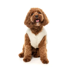 FuzzYard Dog Apparel Umeda Jacket Bone Size 3
