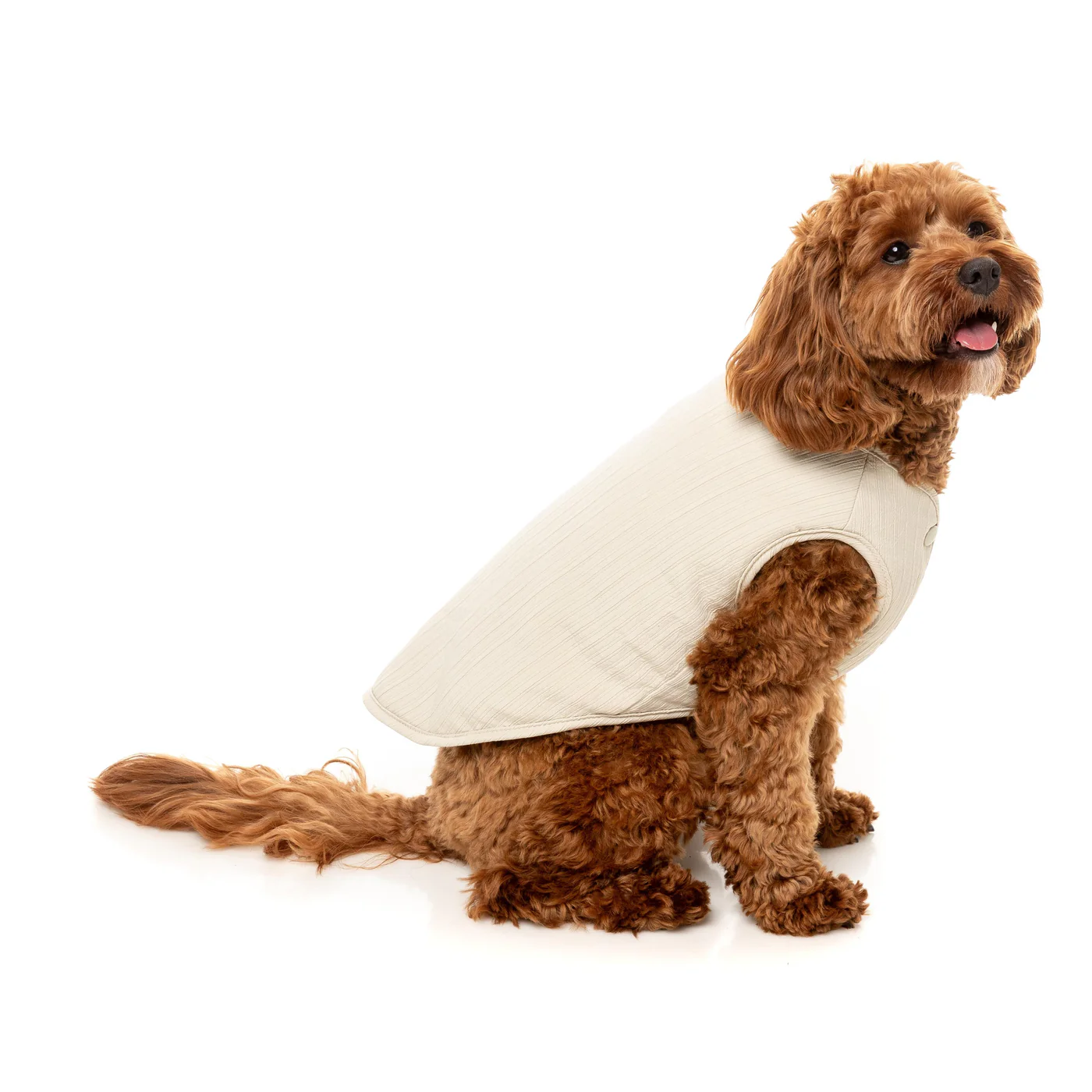 FuzzYard Dog Apparel Umeda Jacket Bone Size 5 - Image 4