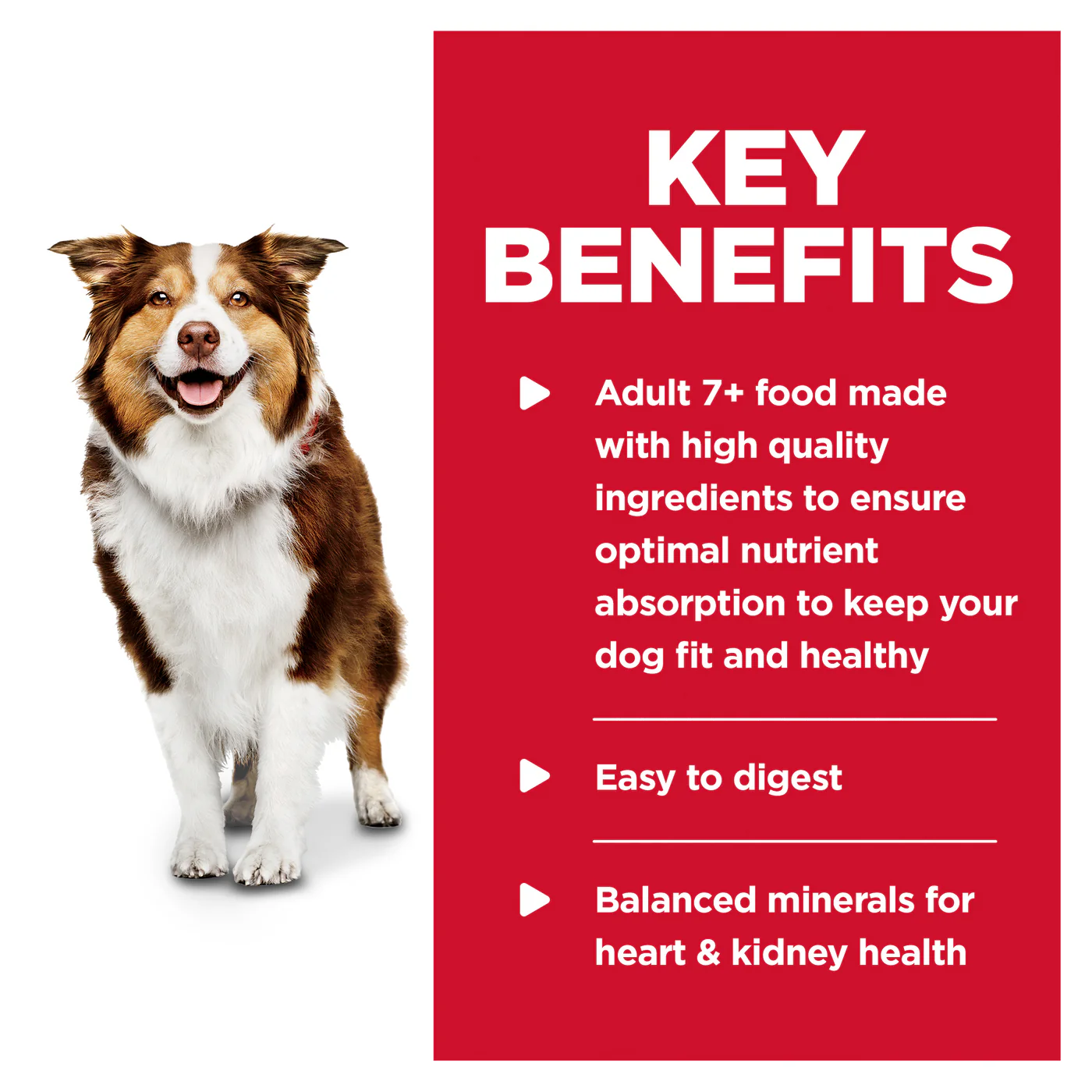 Hills Science Diet Adult 7+ Chicken and Barley Canned Dog Food 370g - Image 6