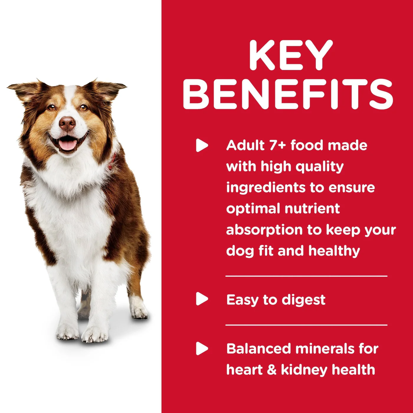 Hills Science Diet Adult 7+ Savoury Stew Beef and Vegetables Canned Dog Food 363g - Image 7