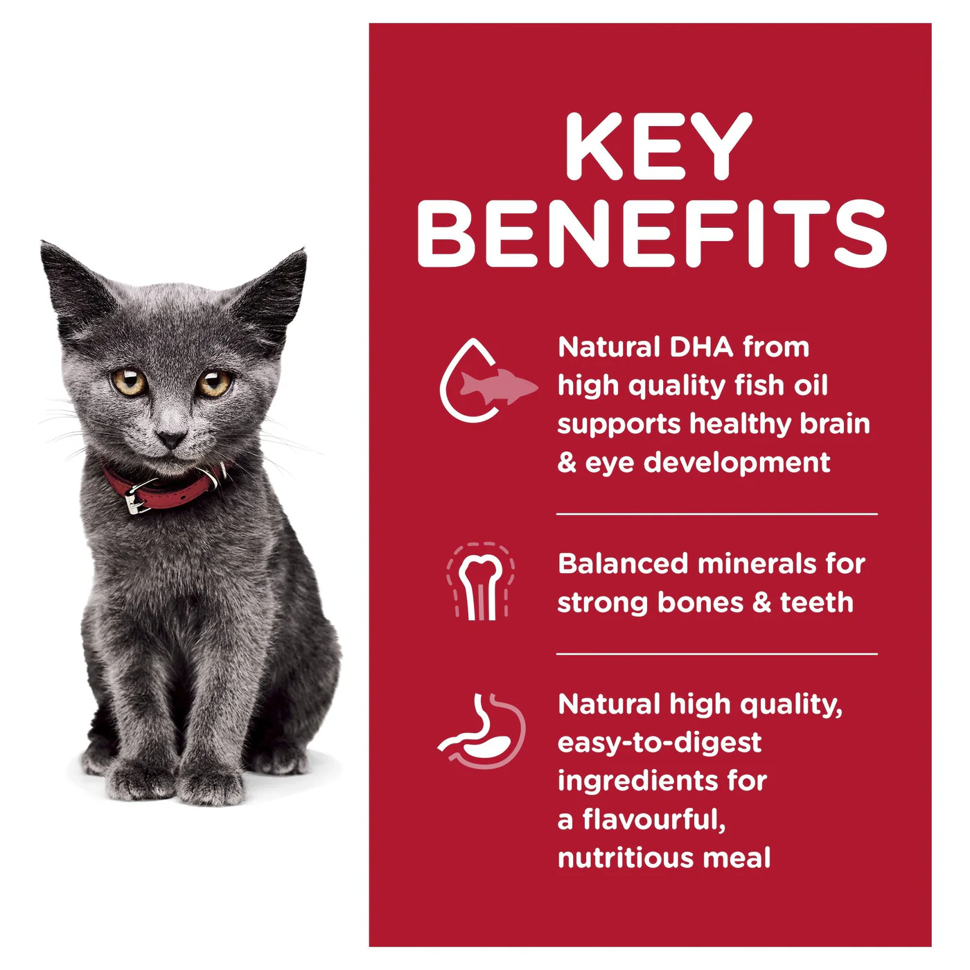 Hills Science Diet Indoor Kitten Dry Cat Food 3.17kg - Image 3