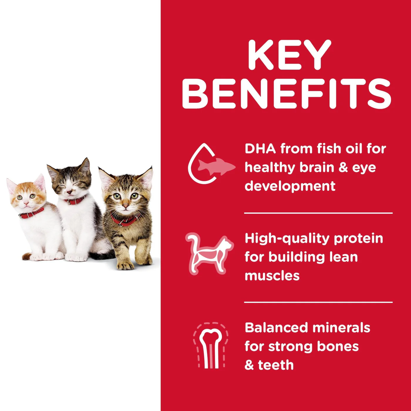 Hills Science Diet Kitten Dry Cat Food 4kg - Image 2