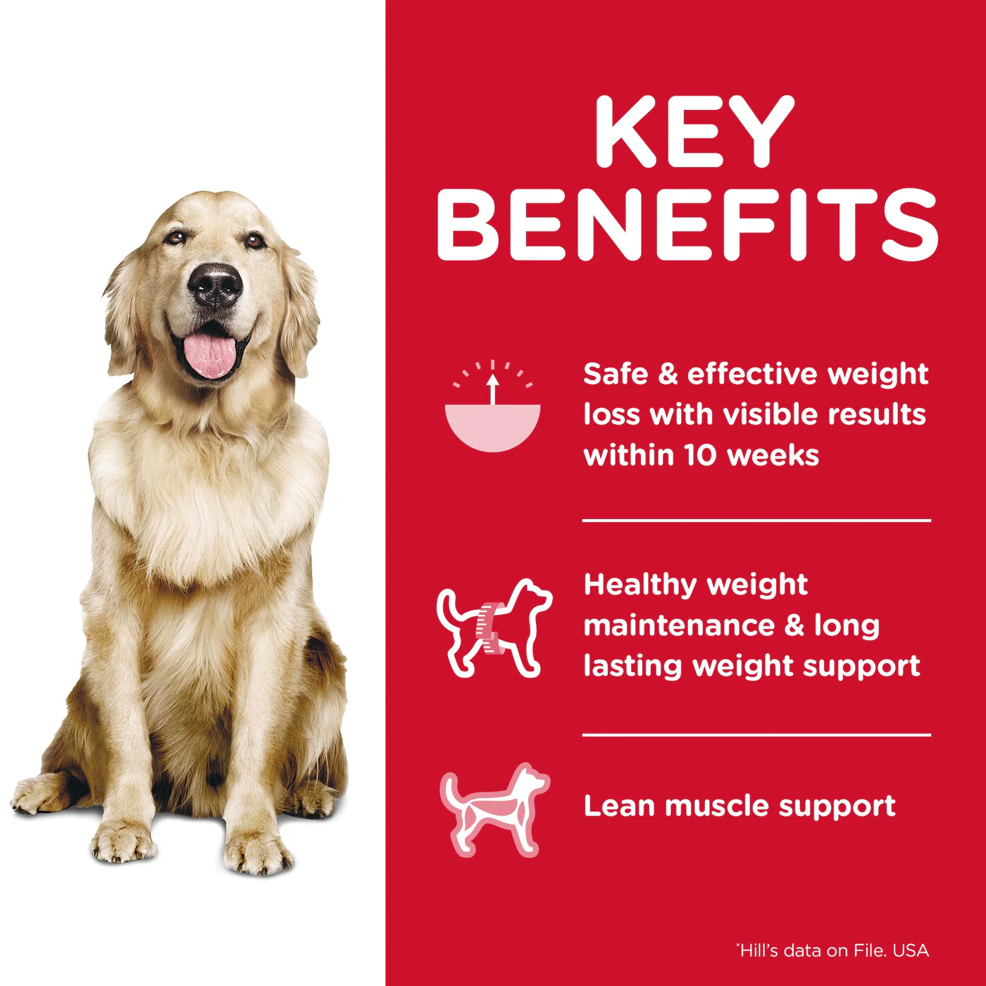 Hills Science Diet Perfect Weight Adult Dry Dog Food 11.34kg - Image 2