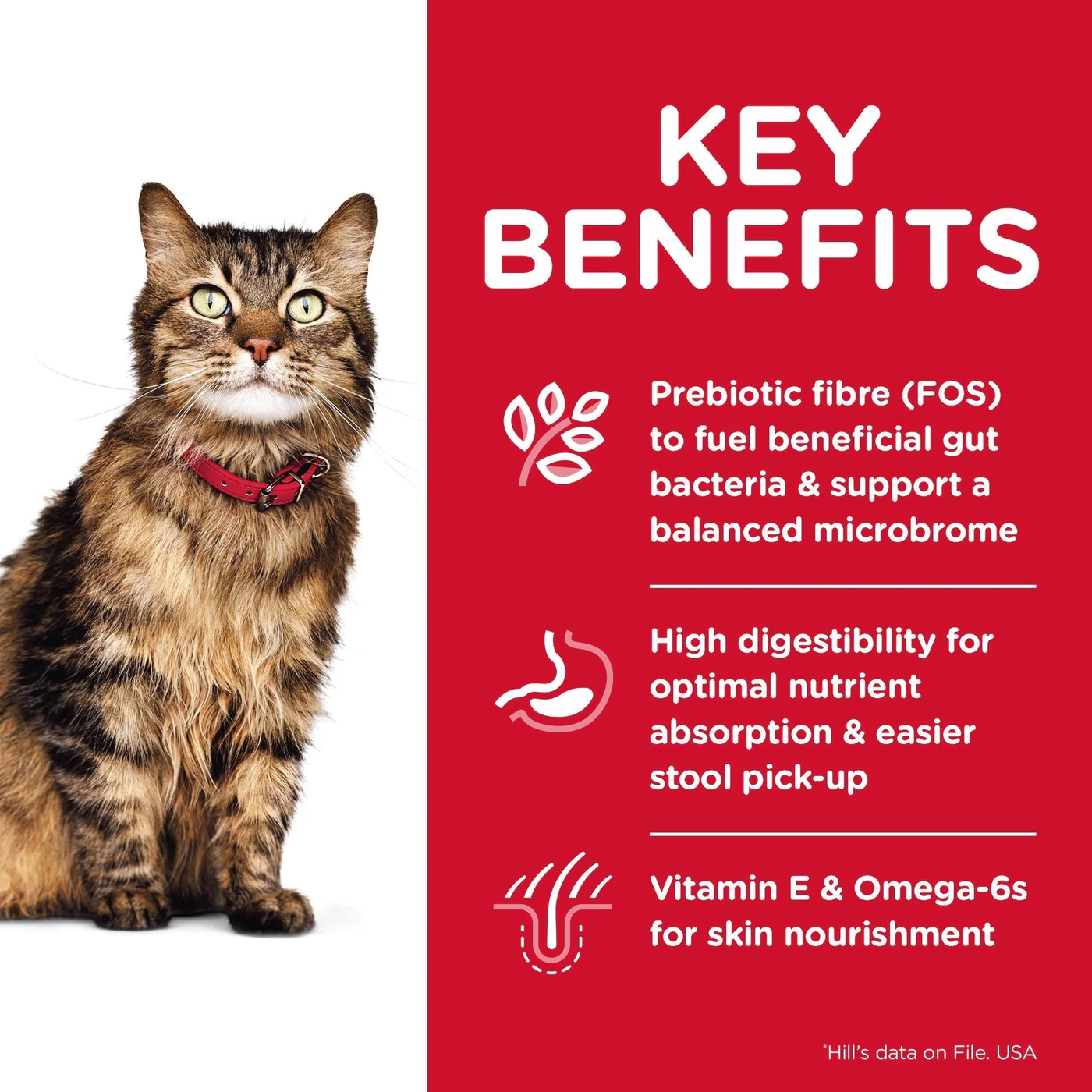 Hills Science Diet Sensitive Stomach and Skin Adult Dry Cat Food 3.17kg - Image 3