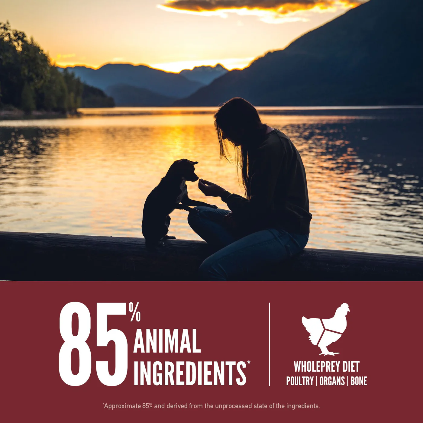 ORIJEN Small Breed Biologically Appropriate Dry Dog Food 1.8kg - Image 4