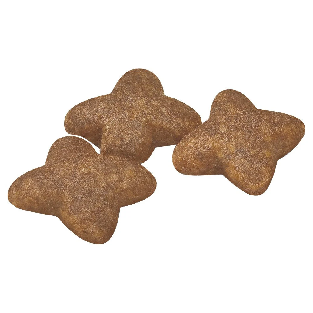Royal Canin Dog Mini Adult Dry Food 4kg - Image 4