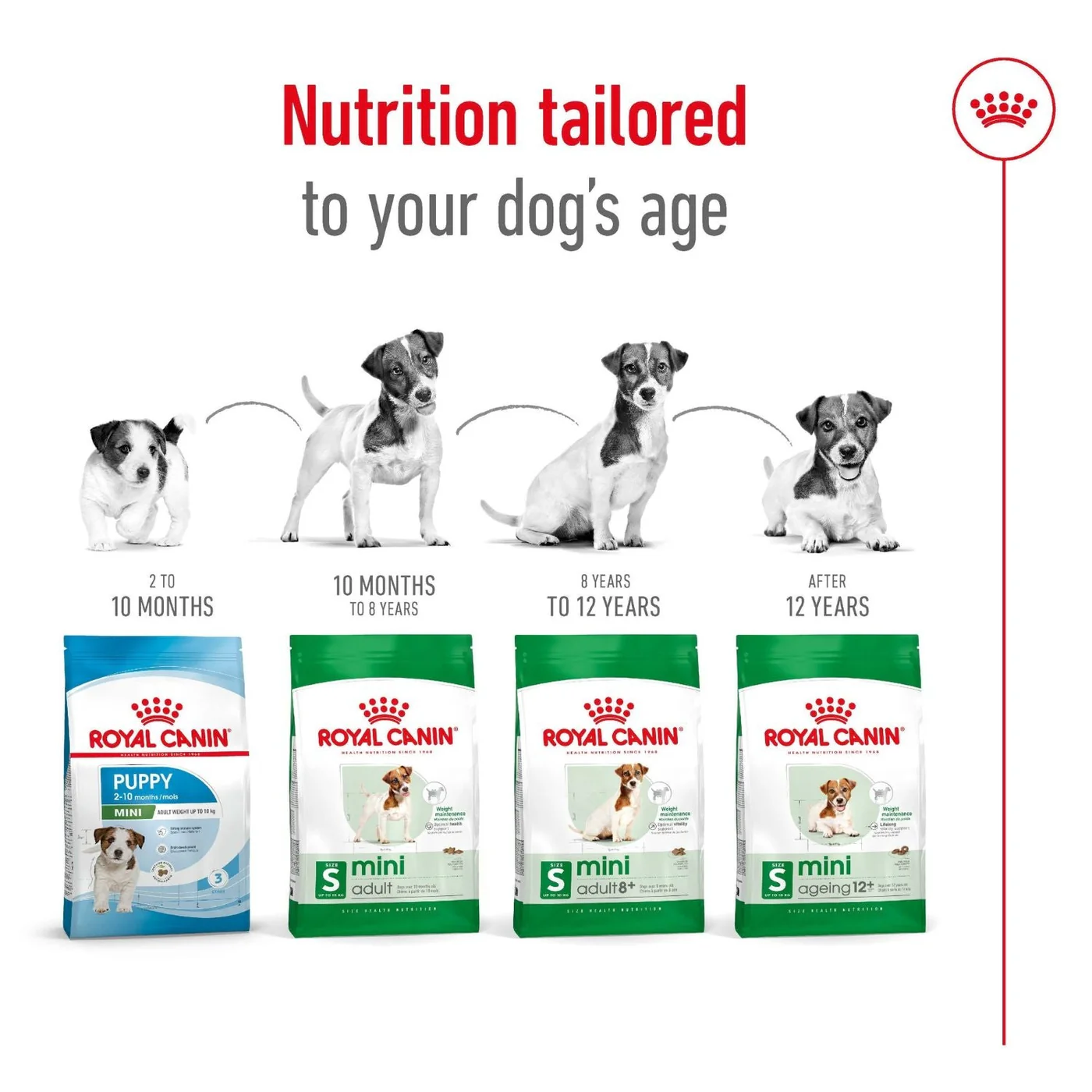 Royal Canin Dog Mini Adult Dry Food 4kg - Image 2
