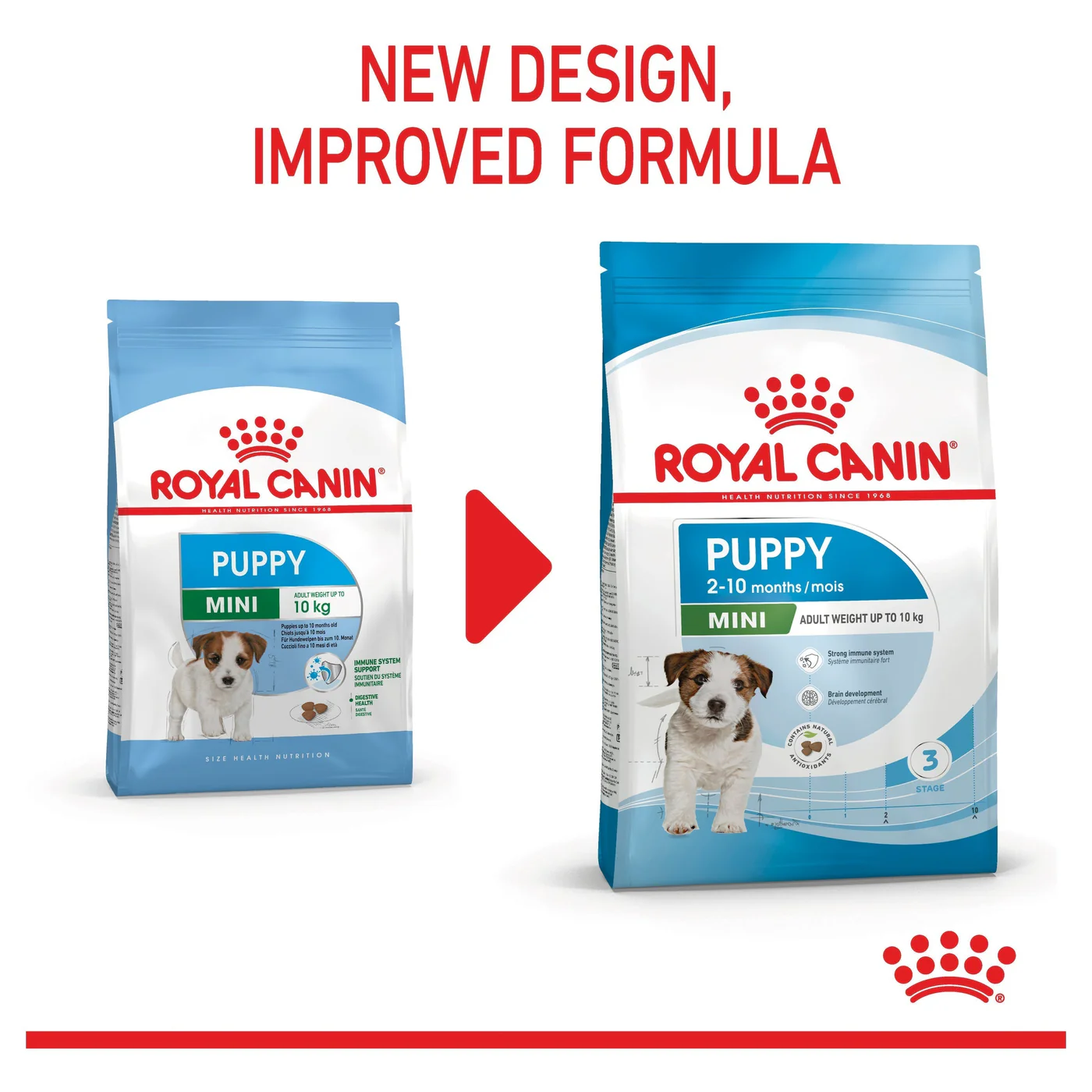 Royal Canin Dog Mini Puppy Dry Food 2kg - Image 2