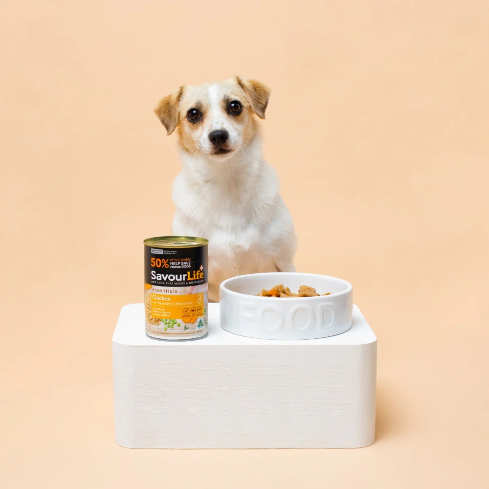 SavourLife Essentials Chicken with Vegetables & Rice Adult Dog Wet Food 400g - Image 7