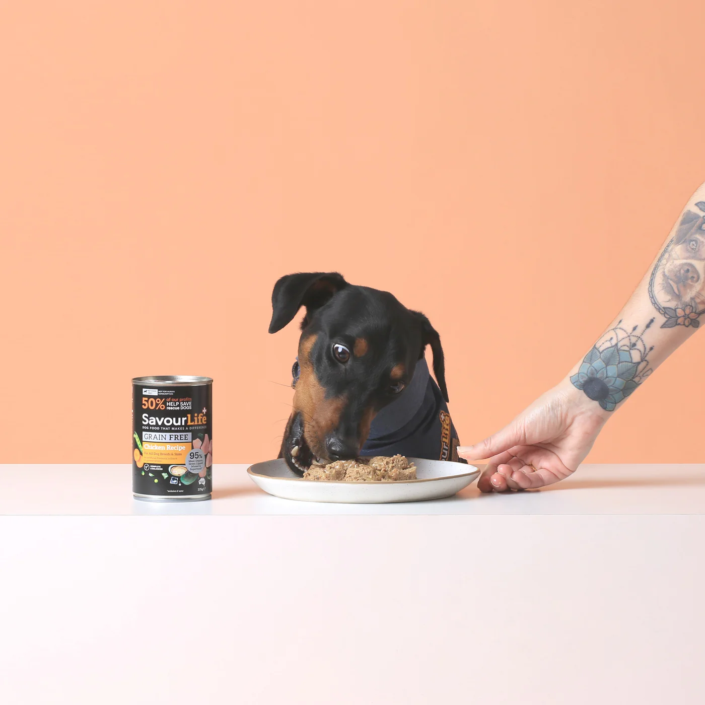 Savourlife Grain Free Chicken Adult Dog Wet Food 375g - Image 7