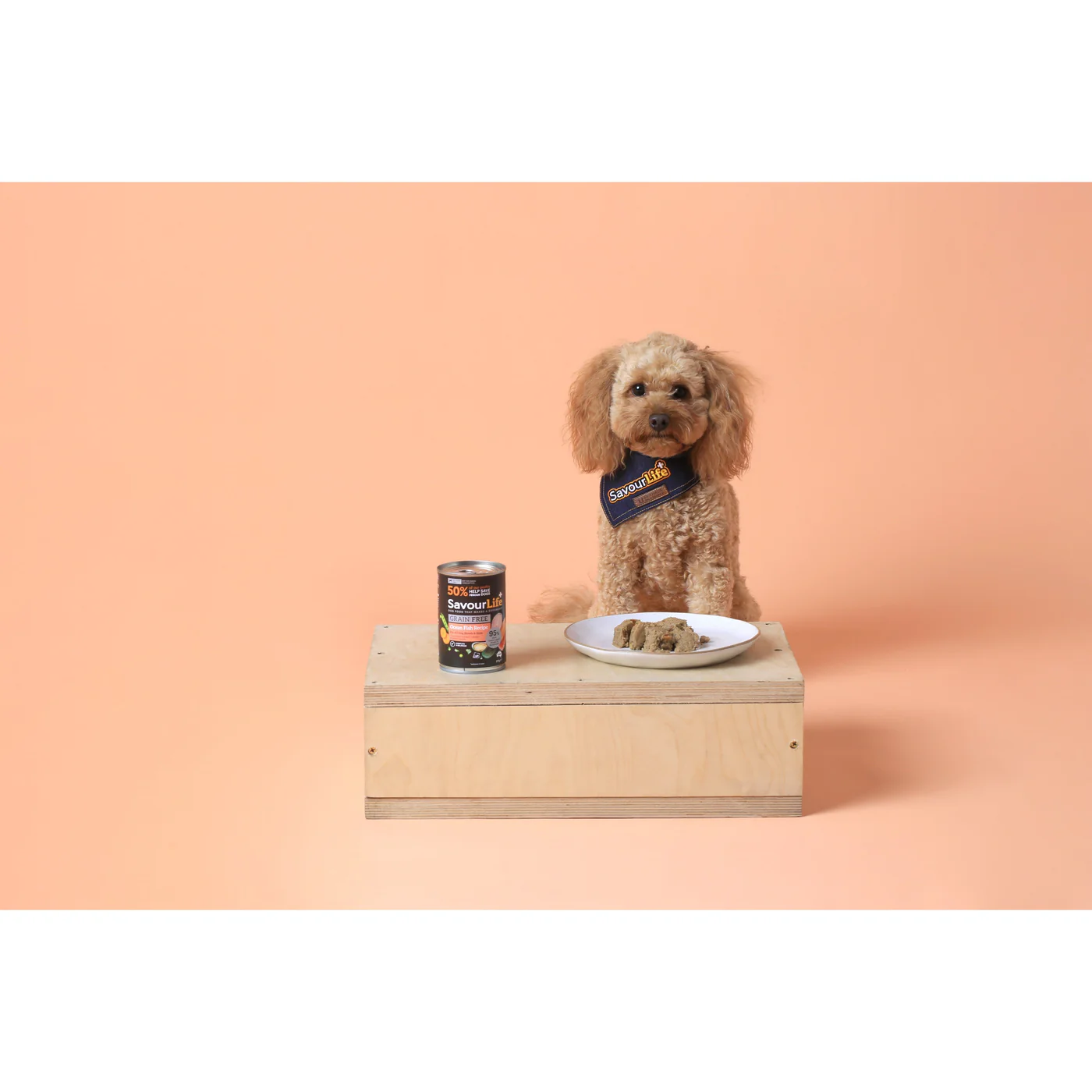 Savourlife Grain Free Ocean Fish Adult Dog Wet Food 375g X12 - Image 8