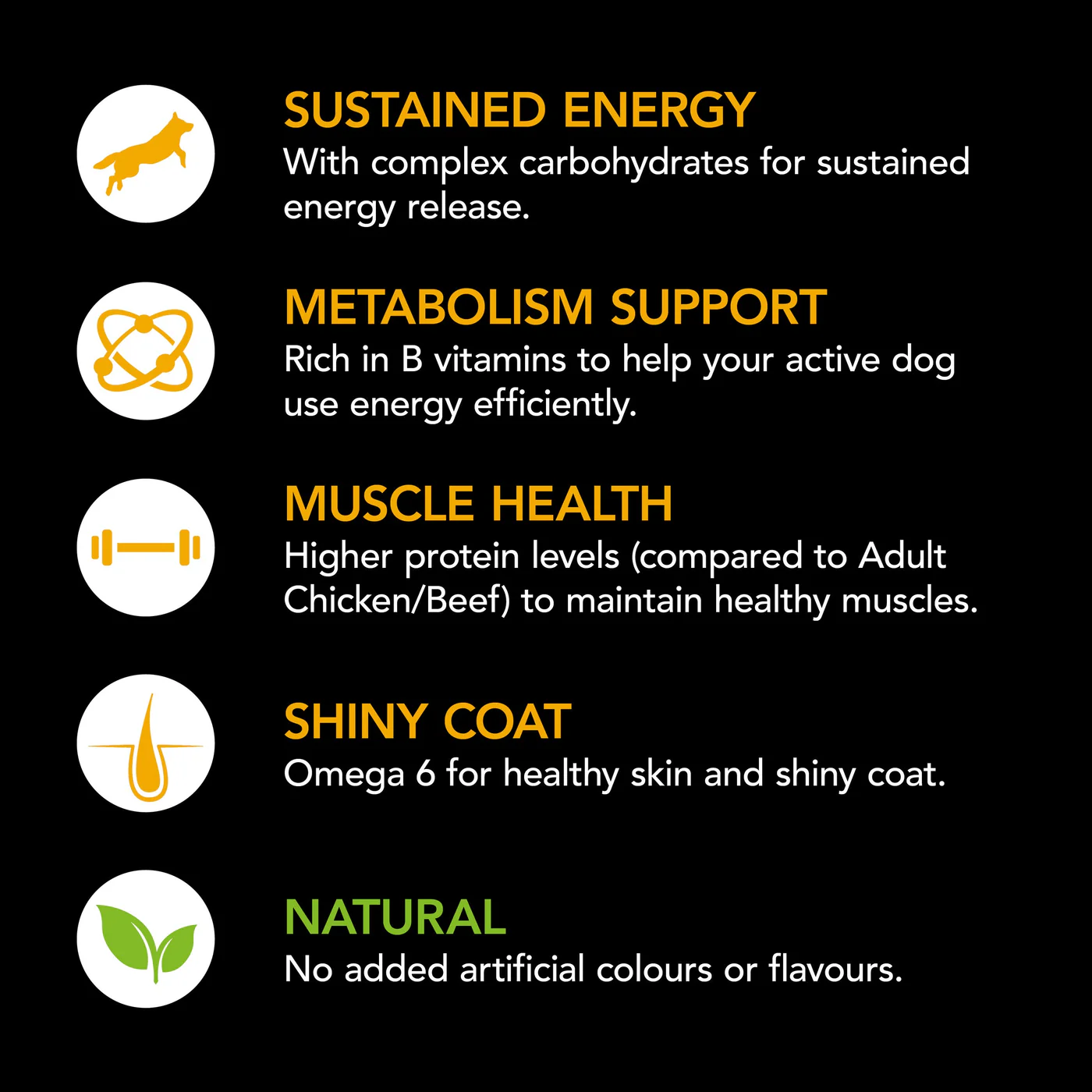 Supercoat Beef Active Adult Dry Dog Food 18kg - Image 5