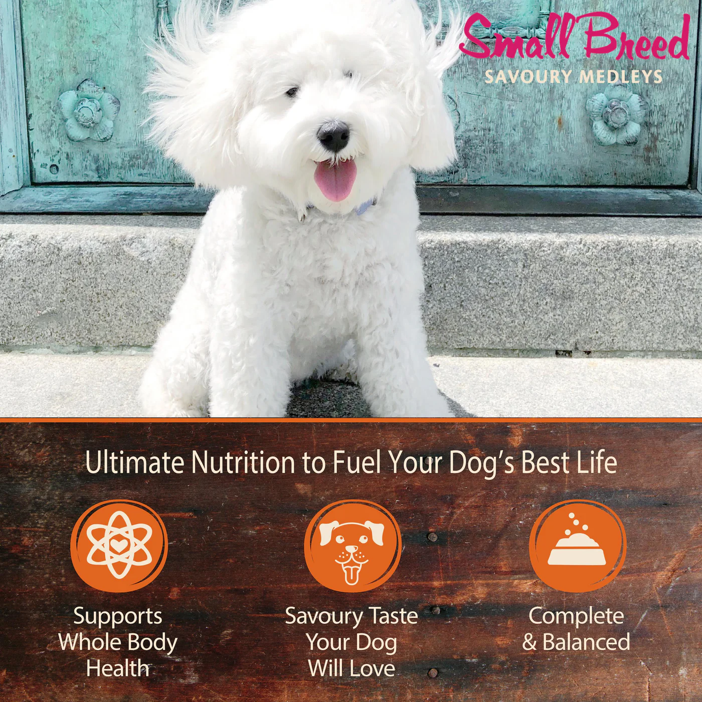 Wellness CORE Savoury Medleys Chicken Duck Peas and Carrots Wet Small Dog Food 85g - Image 3