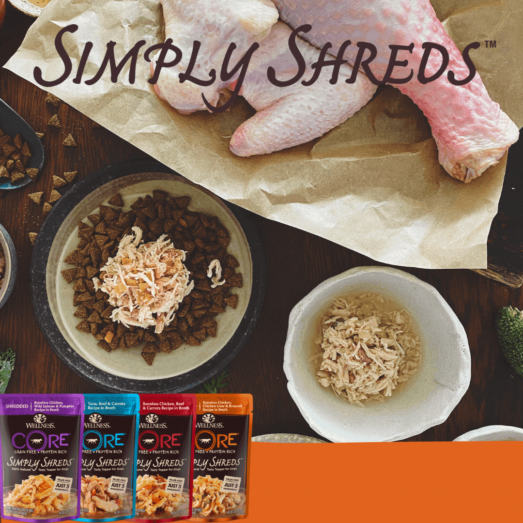 Wellness CORE Simply Shreds Shredded Chicken, Chicken Liver and Broccoli Wet Dog Food 79g - Image 5